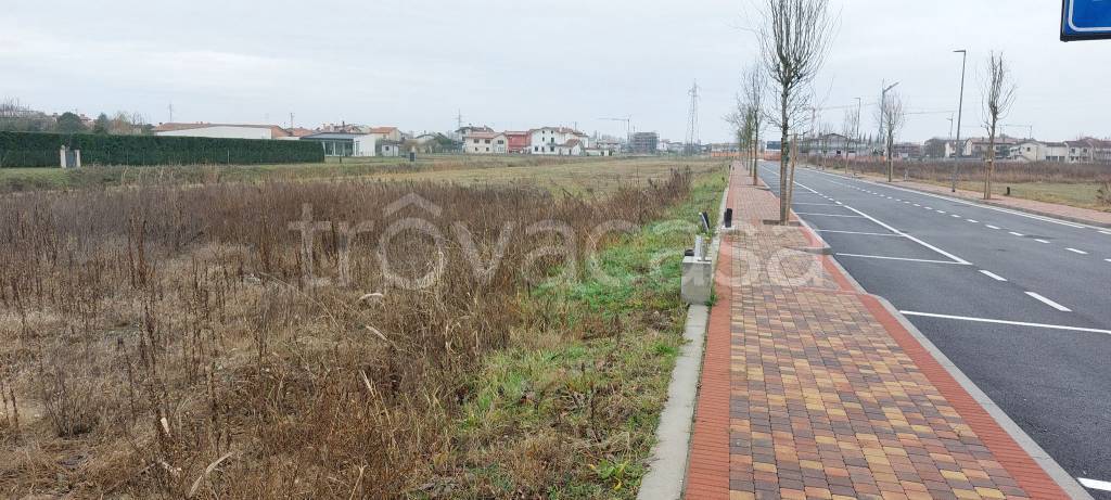 immagine annuncio 3 di 6