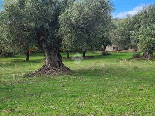 Terreno residenziale in vendita a catanzaro via vincenzo dattilo