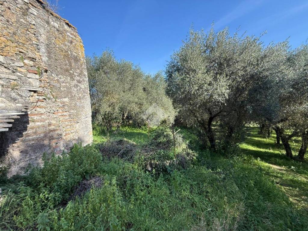 immagine annuncio 5 di 7