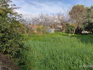 Terreno agricolo in vendita a santa giusta località s'ortu s.n.c.