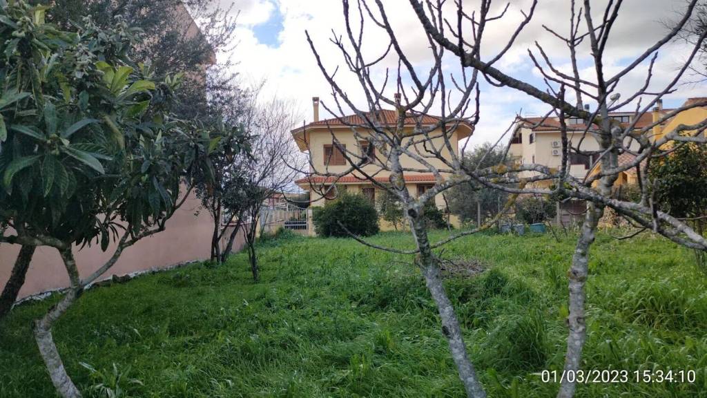 immagine annuncio 2 di 6