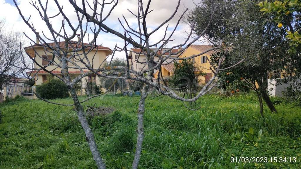 immagine annuncio 3 di 6