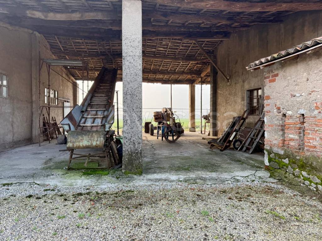immagine annuncio 4 di 11