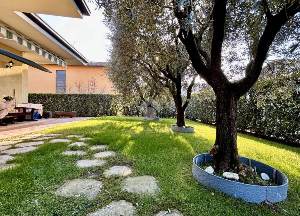 immagine annuncio 8 di 15
