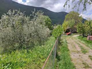 Terreno agricolo all'asta a viggianello via fontana quaro