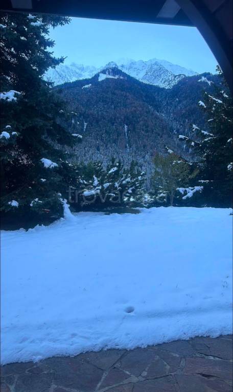 immagine annuncio 7 di 11