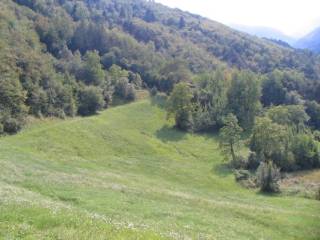 Terreno agricolo in vendita a brentonico via san carlo