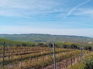 Terreno agricolo in vendita a contessa entellina sp12