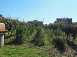 Terreno residenziale all'asta a perugia strada settevalli