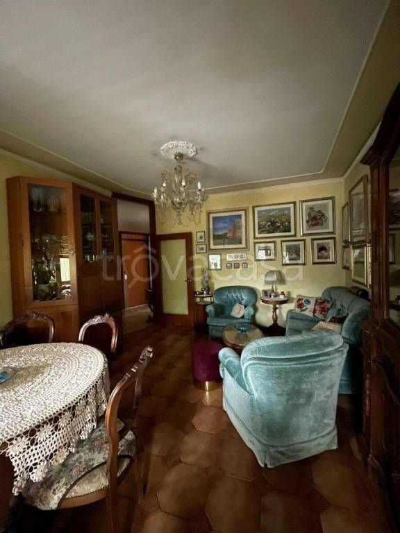 immagine annuncio 6 di 14