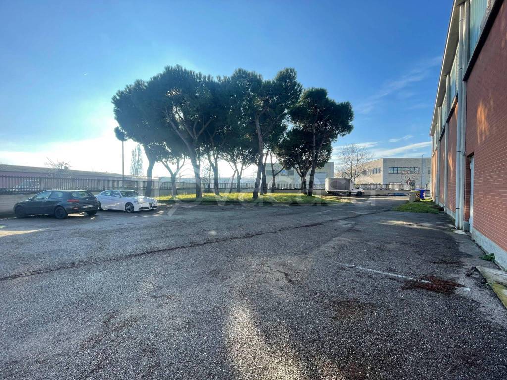 immagine annuncio 5 di 15