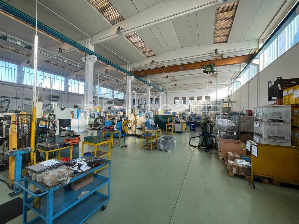 immagine annuncio 9 di 15