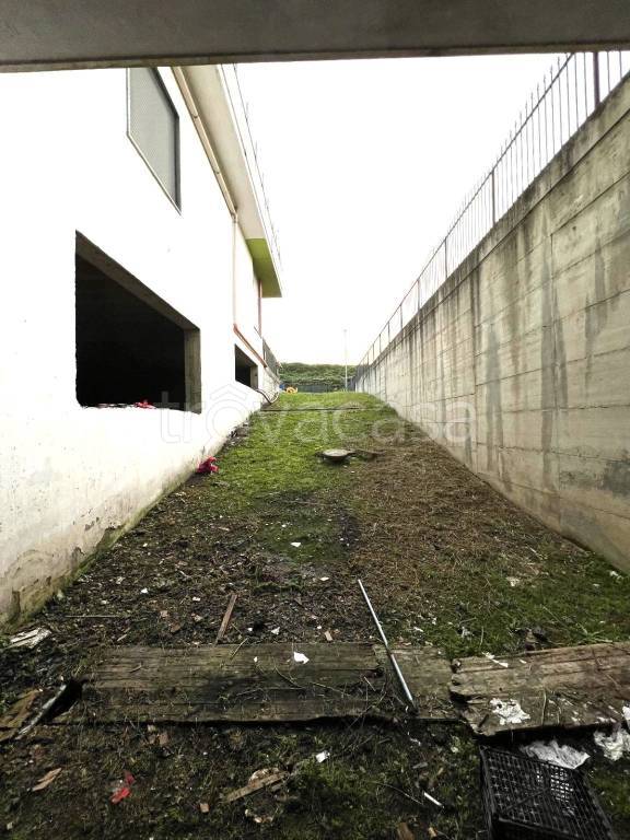 immagine annuncio 1 di 6