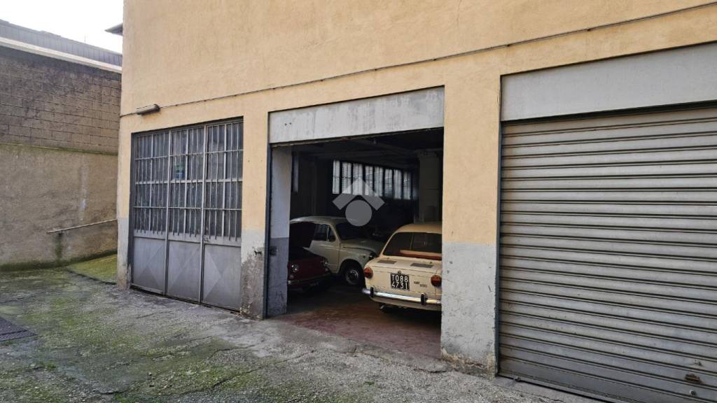 immagine annuncio 4 di 14