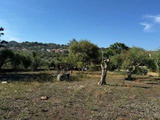 Terreno agricolo all'asta ad aci castello via stazione, 15