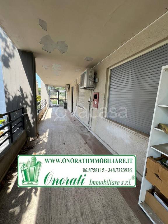 immagine annuncio 10 di 11