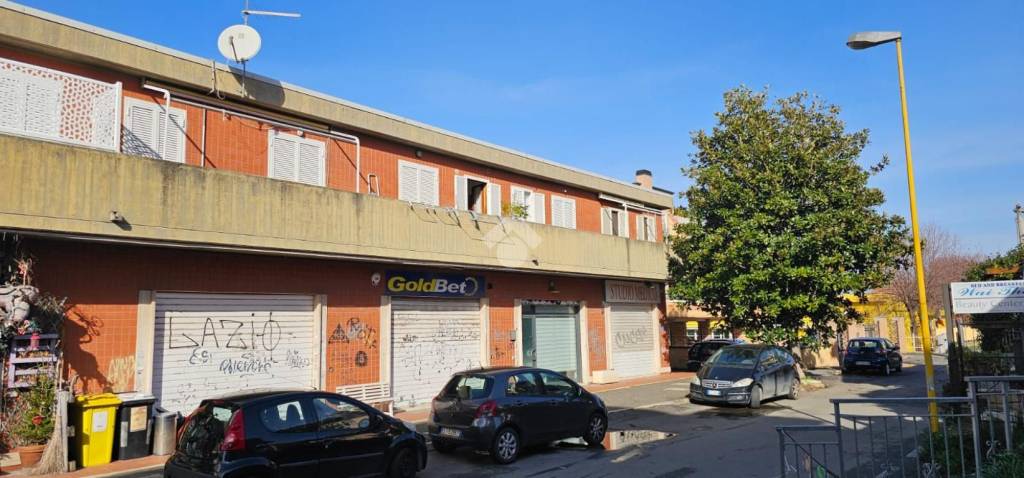 immagine annuncio 10 di 13