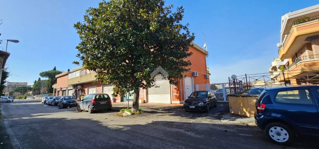 immagine annuncio 12 di 13