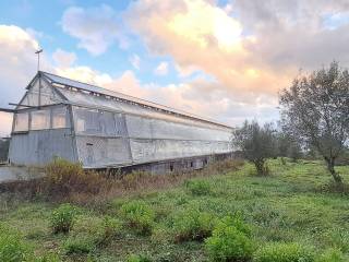 Terreno agricolo in vendita a stefanaconi contrada croce nivera