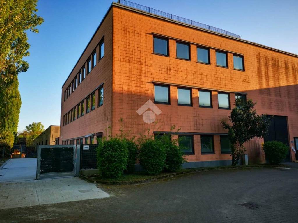 immagine annuncio 5 di 6
