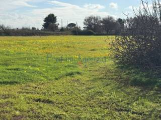 Terreno residenziale in vendita a carovigno 