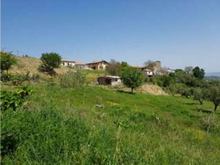 Terreno agricolo all'asta a lattarico via palazzello