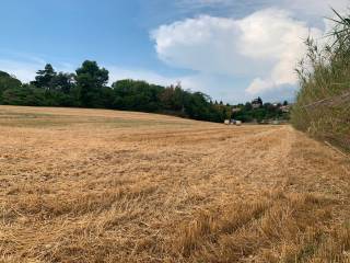 Terreno agricolo in vendita a rimini via maceri