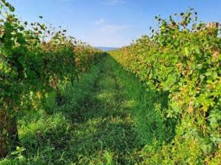 Terreno agricolo in vendita a farra di soligo località farra di soligo