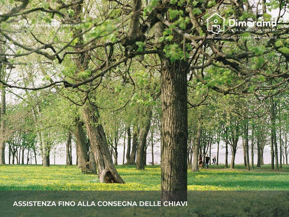 immagine annuncio 1 di 11