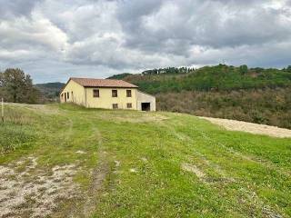 Consorzio agrario in vendita a fabriano 