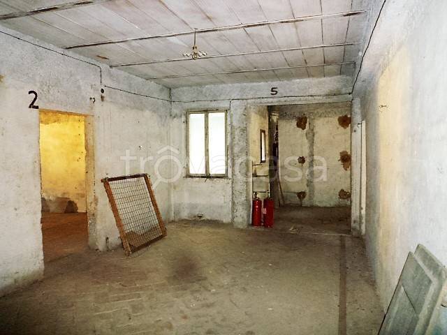 immagine annuncio 5 di 14