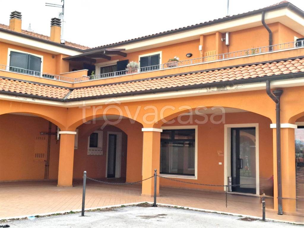 immagine annuncio 1 di 9