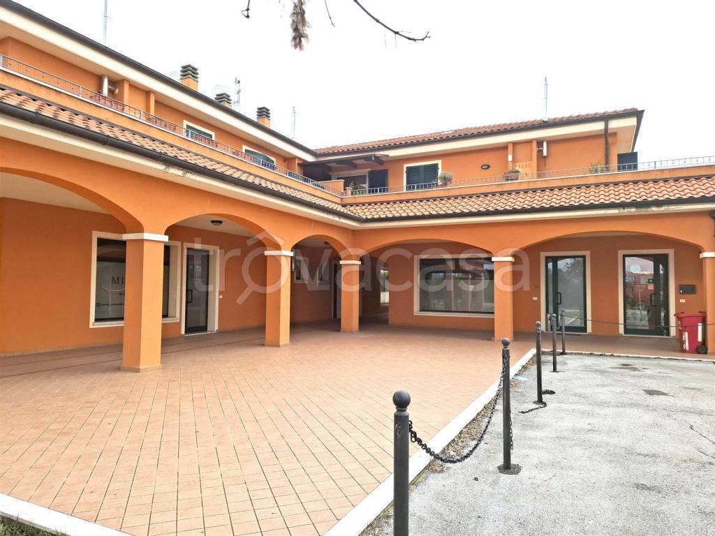 immagine annuncio 6 di 9