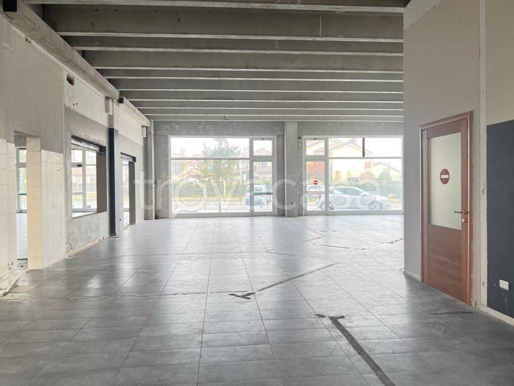 immagine annuncio 3 di 8