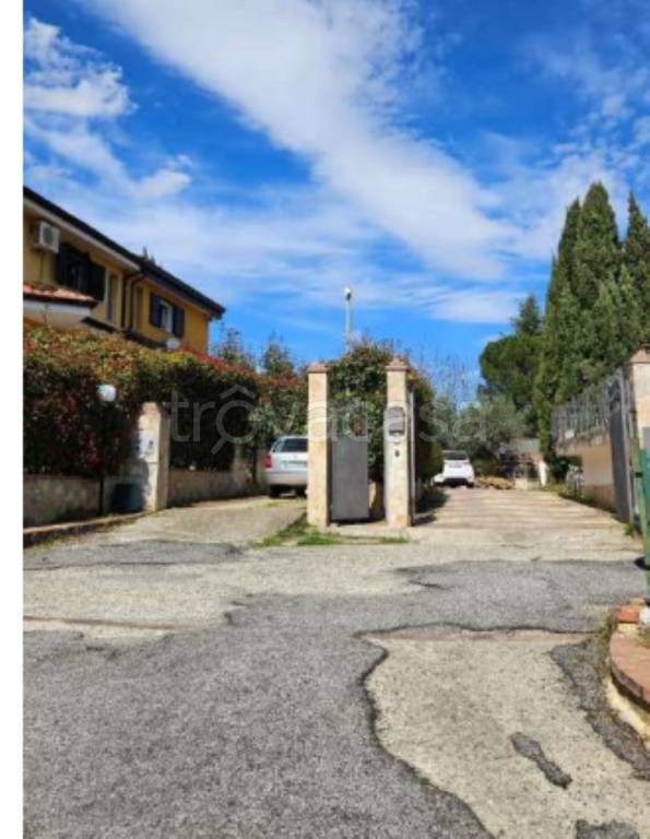 immagine annuncio 6 di 12