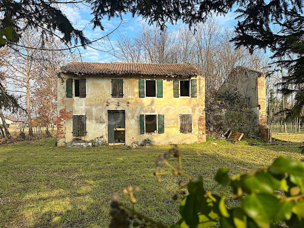 immagine annuncio 4 di 13