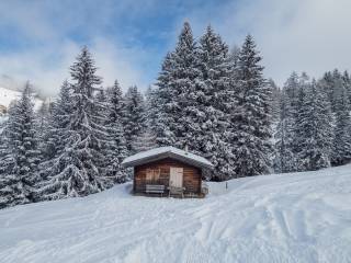 Rifugio in vendita a castelrotto via compatsch