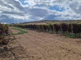 Terreno agricolo all'asta a serdiana via sibiola