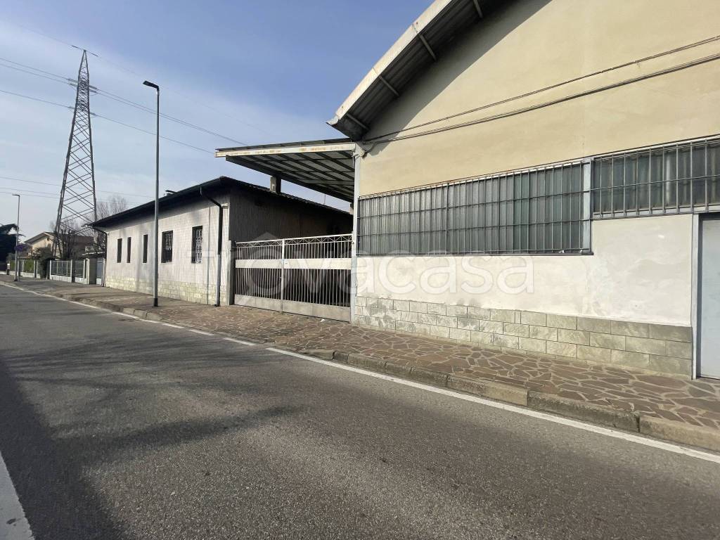 immagine annuncio 9 di 15