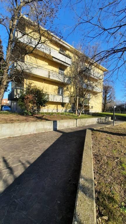 immagine annuncio 14 di 15