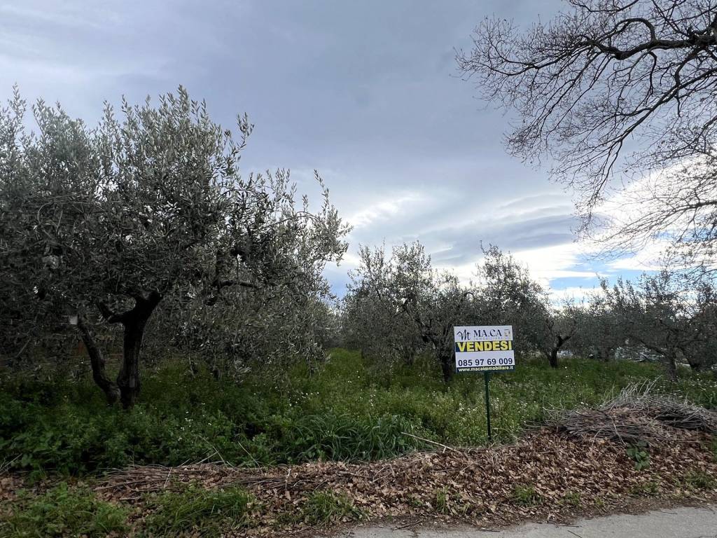 immagine annuncio 1 di 4