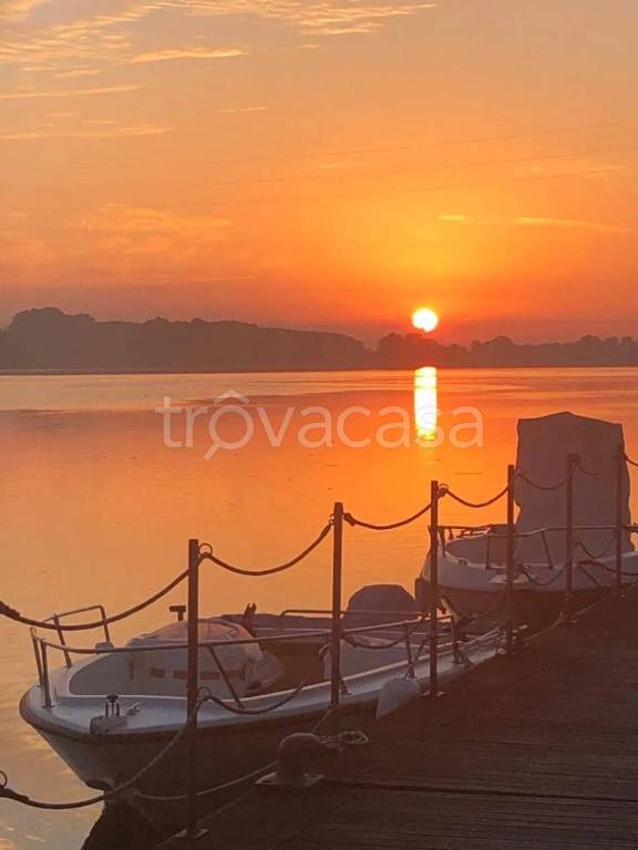 immagine annuncio 3 di 7