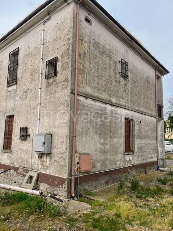 immagine annuncio 3 di 11