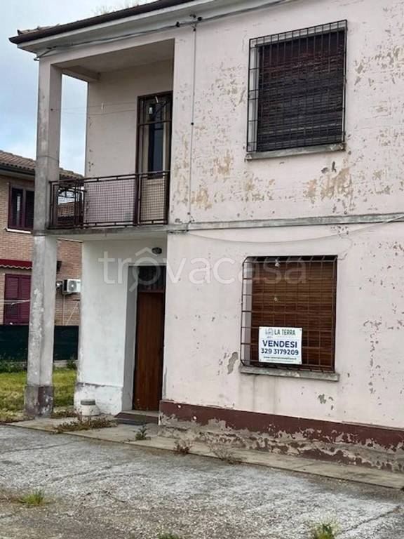 immagine annuncio 7 di 11