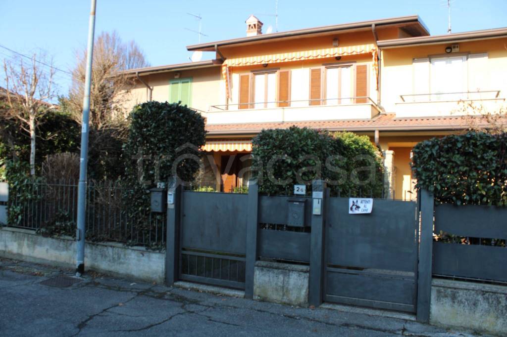 immagine annuncio 1 di 15