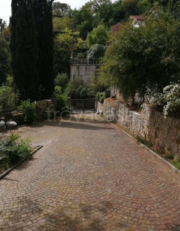 immagine annuncio 4 di 12