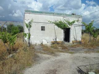 Terreno agricolo in vendita a san vito dei normanni contrada spadella