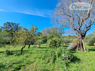 Terreno agricolo in vendita a barbarano romano barbarano romano