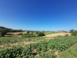 Terreno agricolo all'asta a calliano strada perrona