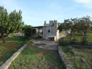 Terreno agricolo in vendita a san vito dei normanni contrada campistrutto